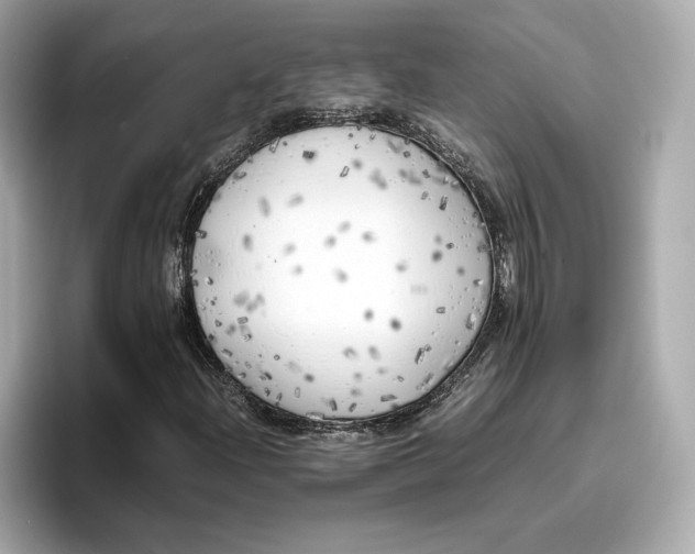 X0000096961204200802221335