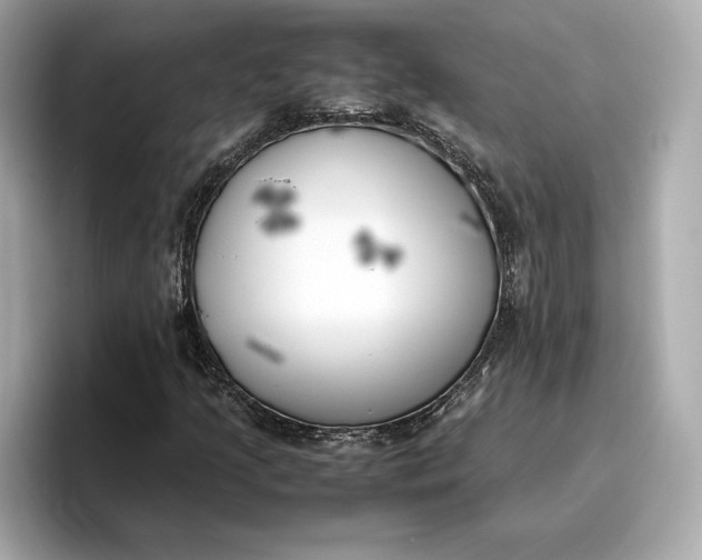 X0000096961205200802221335