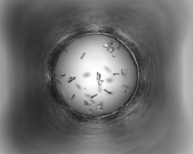 X0000096961206200802221335