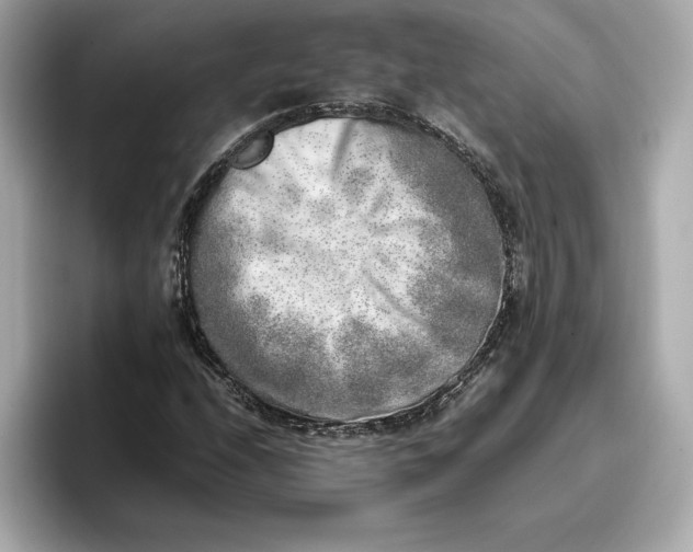 X0000096961208200802221335