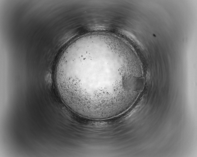 X0000096961209200802221335