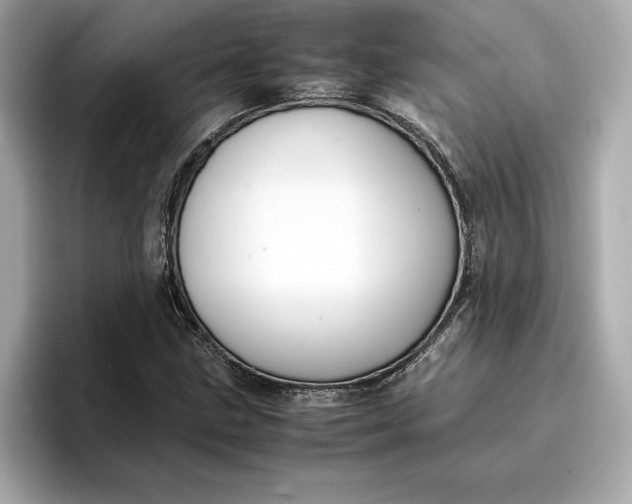 X0000096961211200802221335