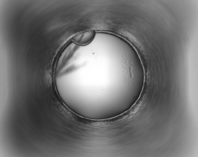 X0000096961212200802221335