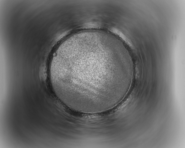 X0000096961213200802221335