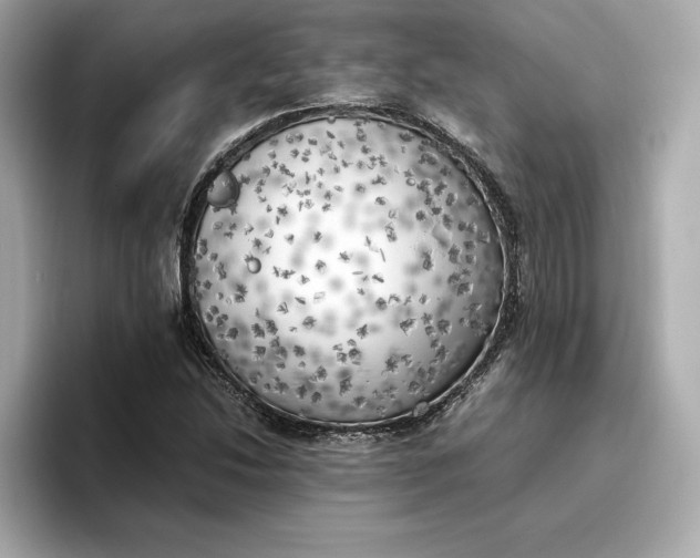 X0000096961214200802221335