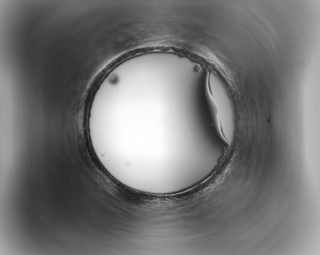 X0000096961216200802221335