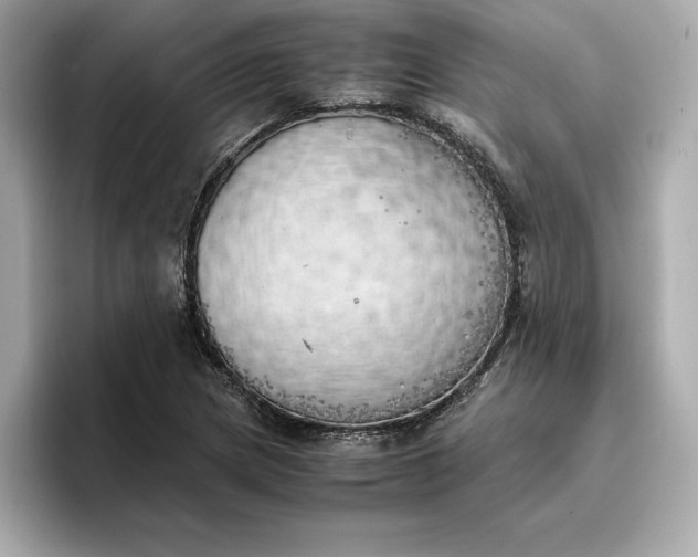 X0000096961217200802221335