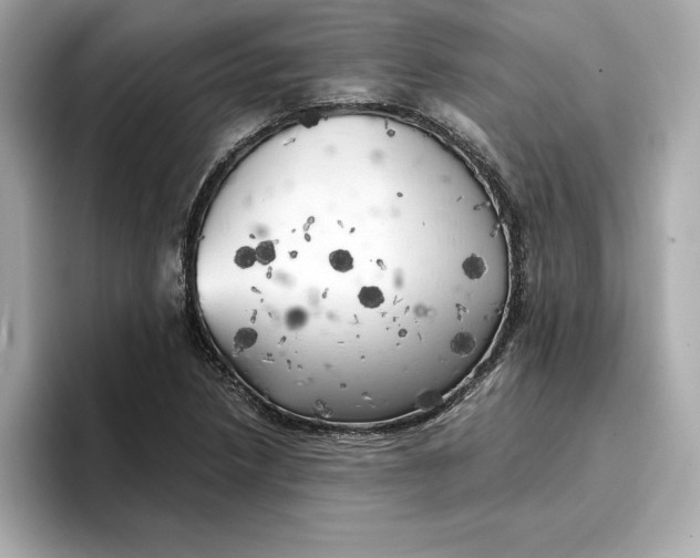 X0000096961218200802221335