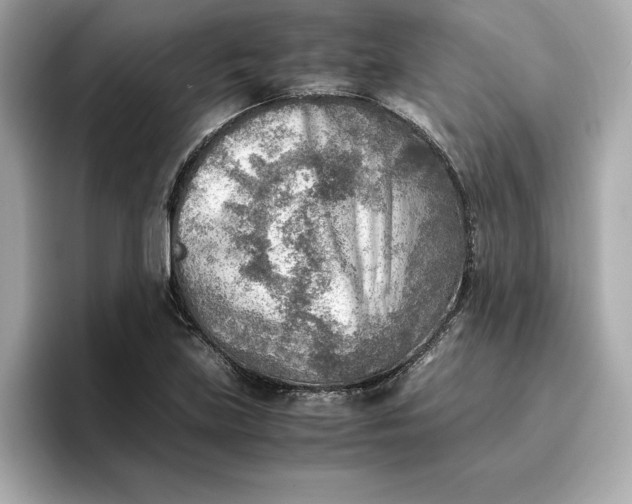 X0000096961219200802221335