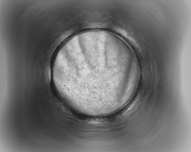 X0000096961221200802221335