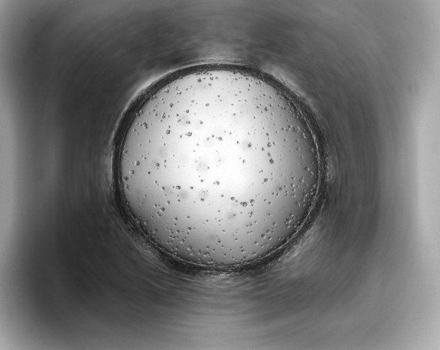 X0000096961222200802221335