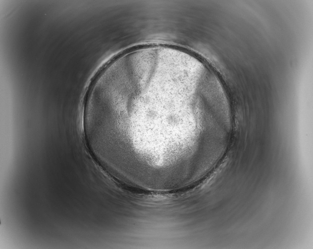 X0000096961224200802221335