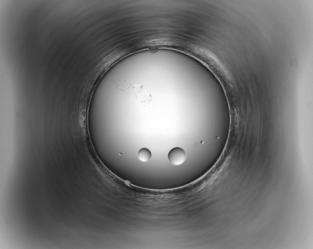 X0000096961225200802221335