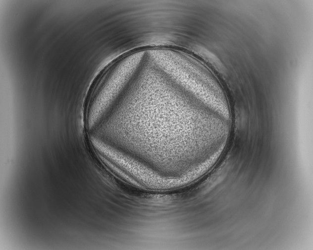 X0000096961226200802221335