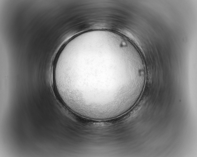 X0000096961227200802221335