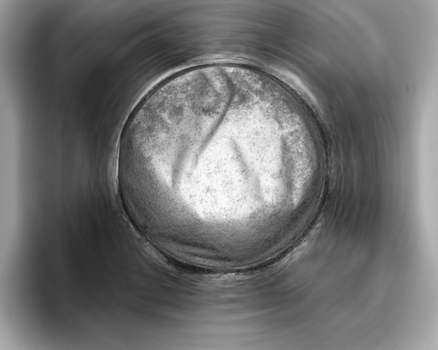 X0000096961228200802221335