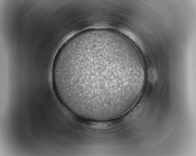 X0000096961229200802221335