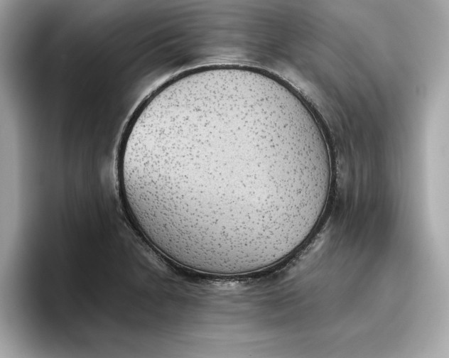 X0000096961230200802221336