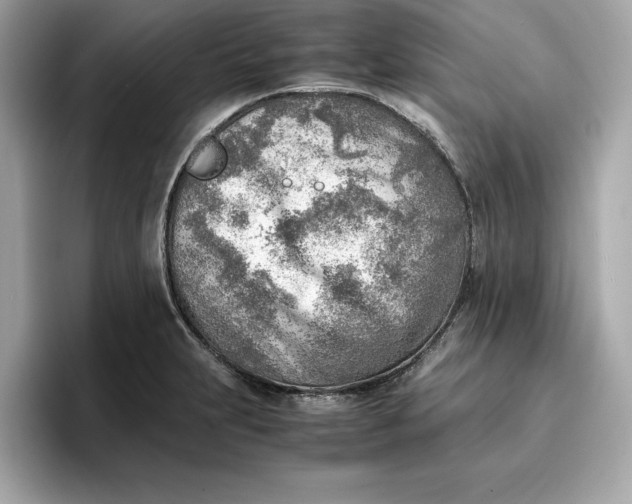 X0000096961231200802221336