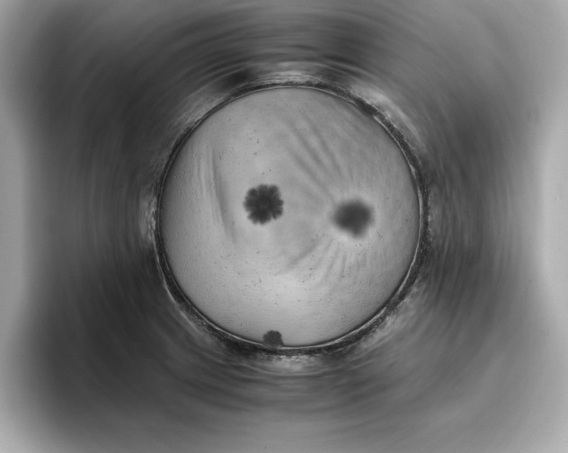 X0000096961233200802221336