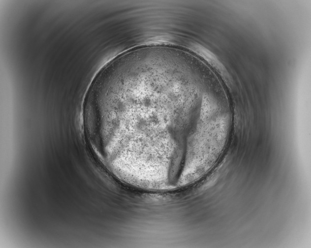 X0000096961234200802221336