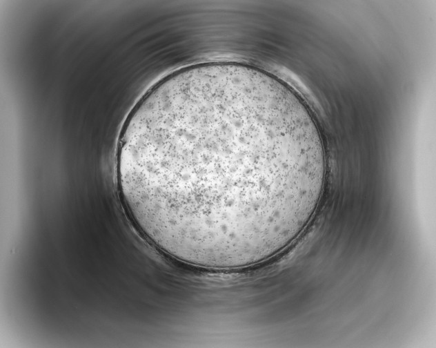 X0000096961236200802221336