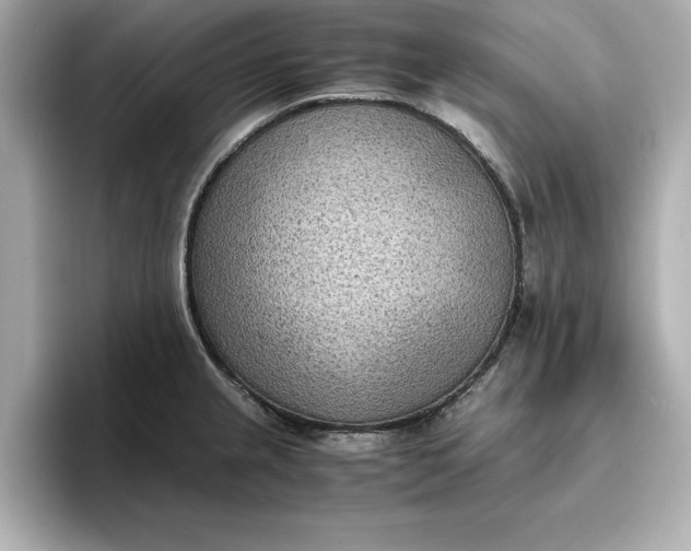 X0000096961237200802221336