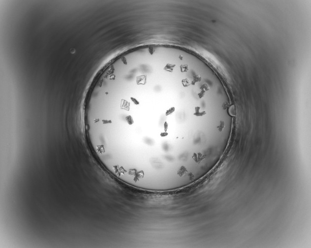 X0000096961238200802221336