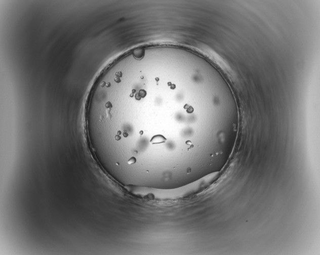 X0000096961240200802221336