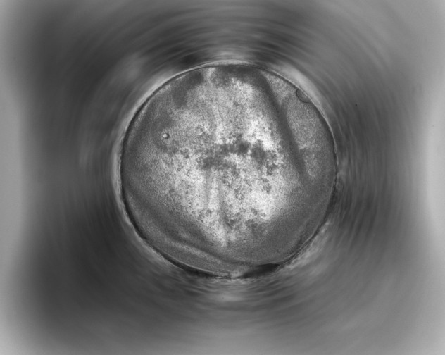 X0000096961243200802221336