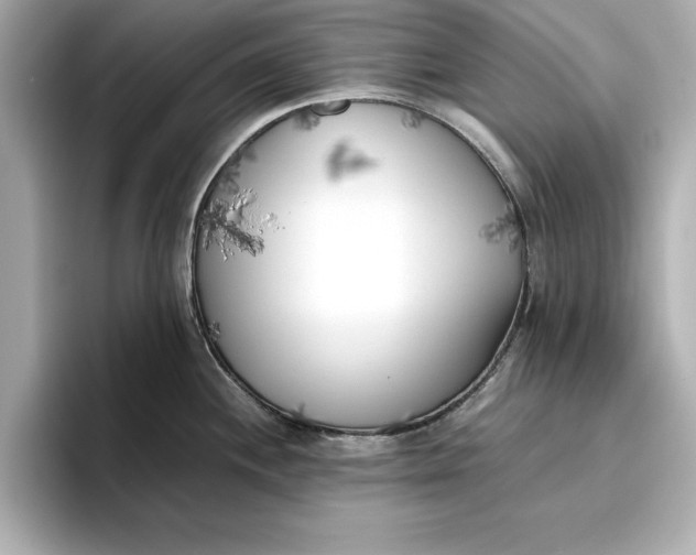 X0000096961244200802221336