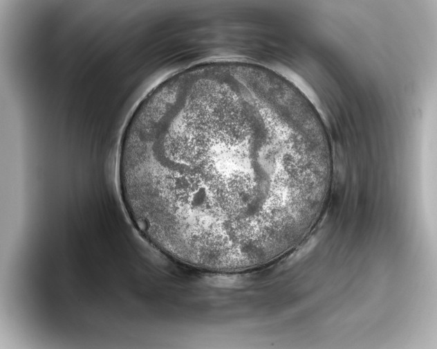 X0000096961245200802221336