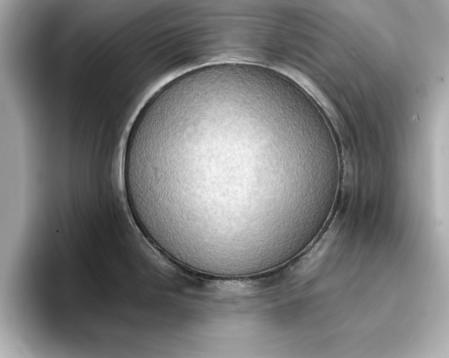 X0000096961246200802221336