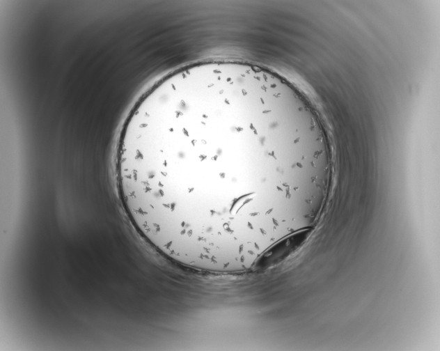 X0000096961248200802221336