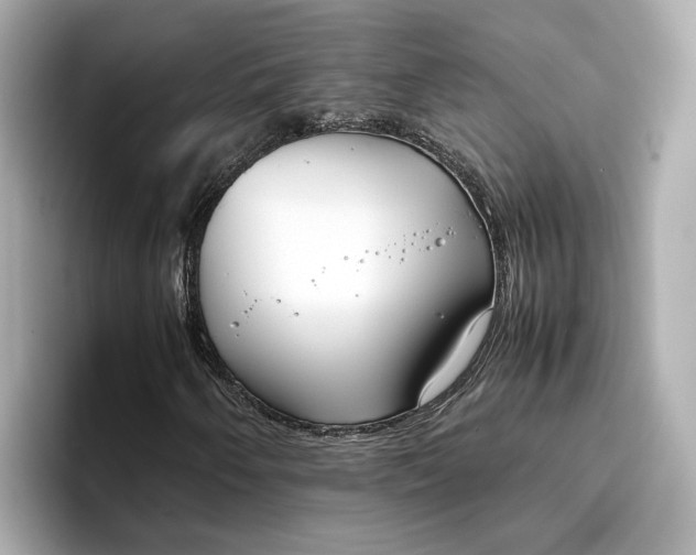 X0000096961250200802221335