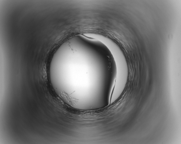 X0000096961252200802221335