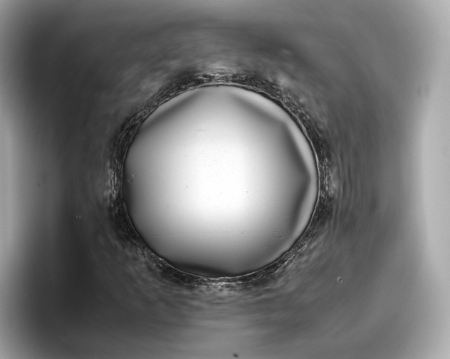 X0000096961253200802221335