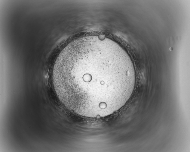 X0000096961254200802221335