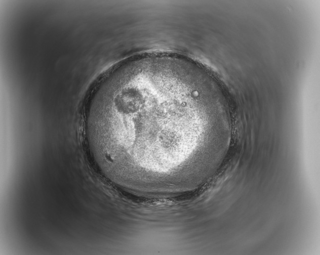 X0000096961255200802221335