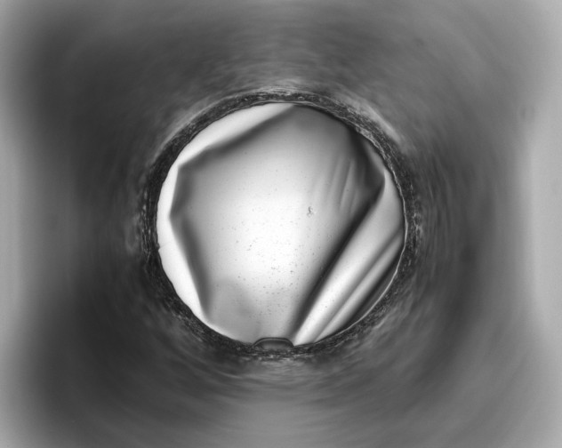 X0000096961256200802221335