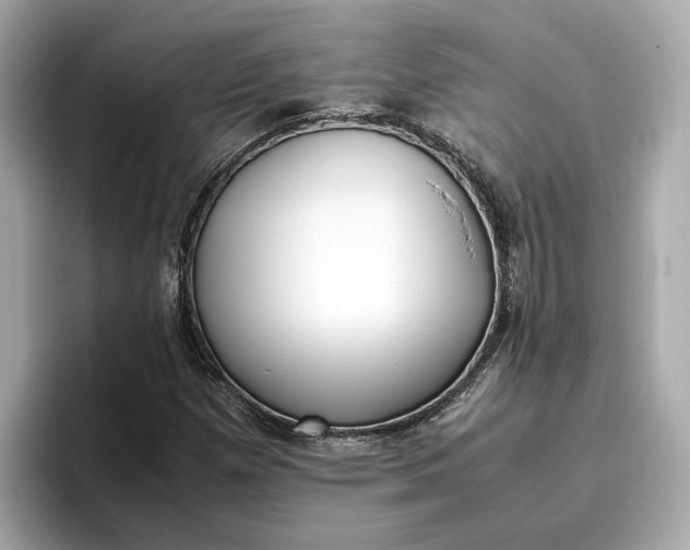 X0000096961257200802221335