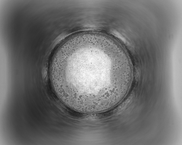 X0000096961259200802221335