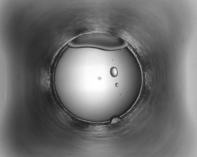 X0000096961260200802221335