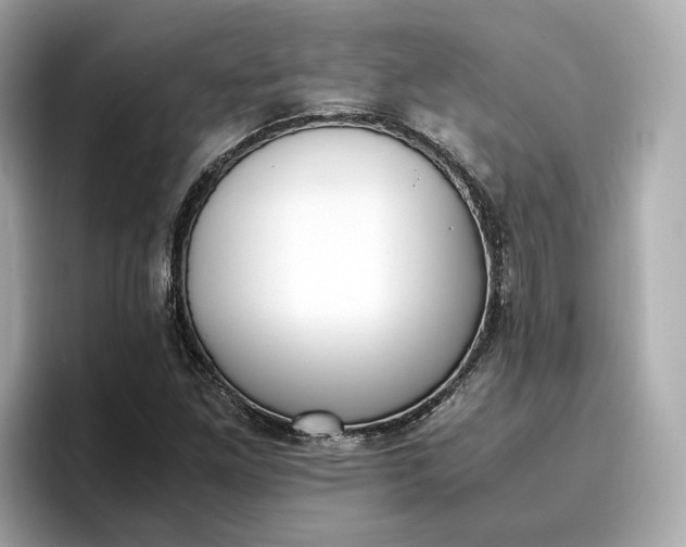 X0000096961261200802221335