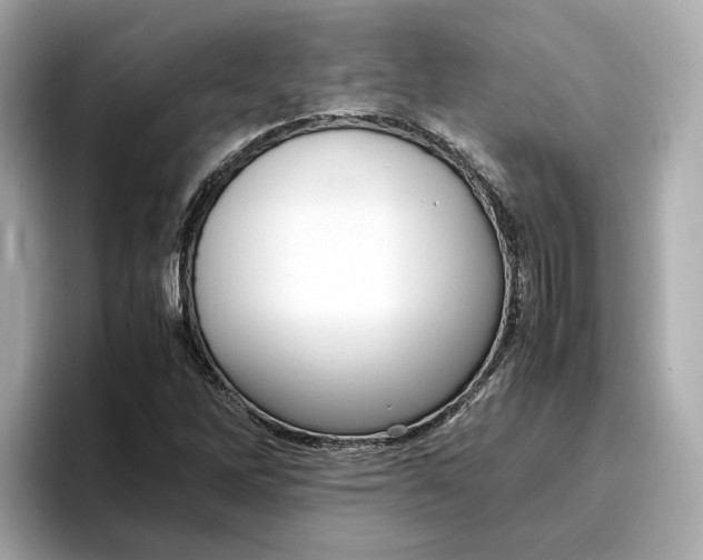 X0000096961262200802221335