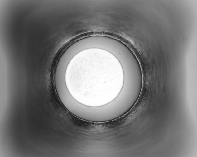 X0000096961263200802221335