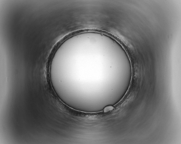 X0000096961264200802221335