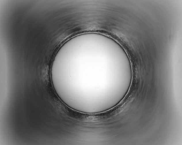 X0000096961265200802221335