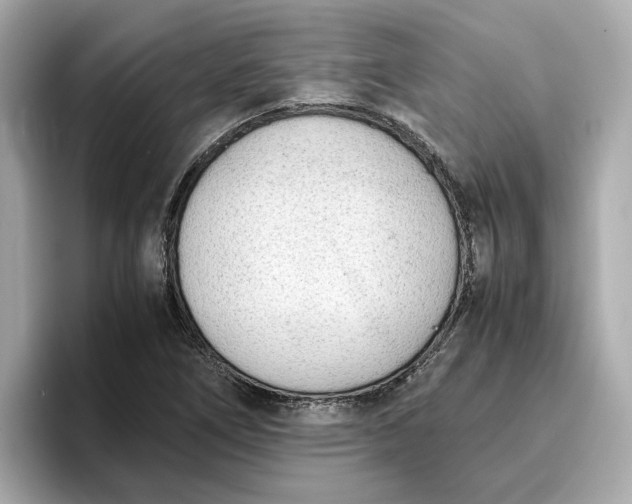 X0000096961266200802221335