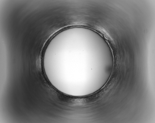 X0000096961268200802221335